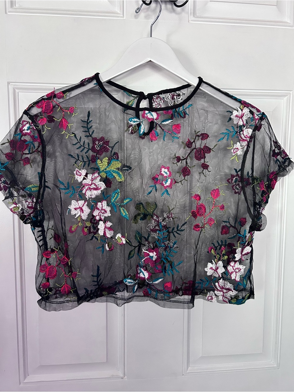 Sheer Black Floral Embroidered Cropped Blouse